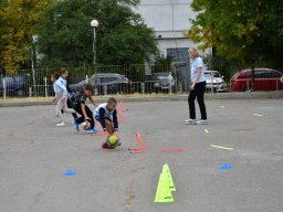 Ден на спорта